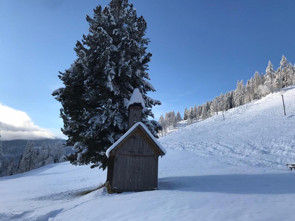 Wohlfühlpension Kreischberg/Egger-Feiel Sankt Georgen ob Murau Exterior foto