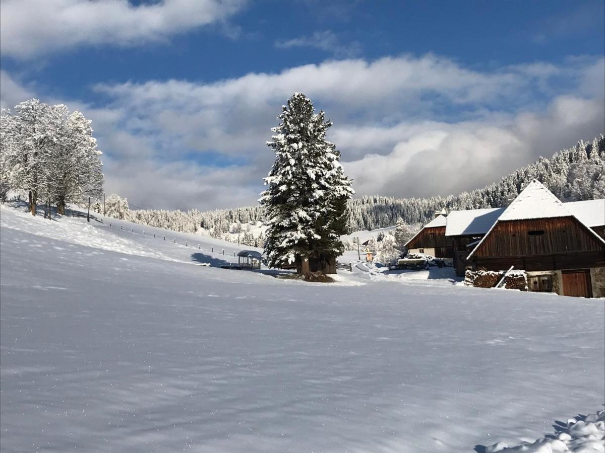 Wohlfühlpension Kreischberg/Egger-Feiel Sankt Georgen ob Murau Exterior foto