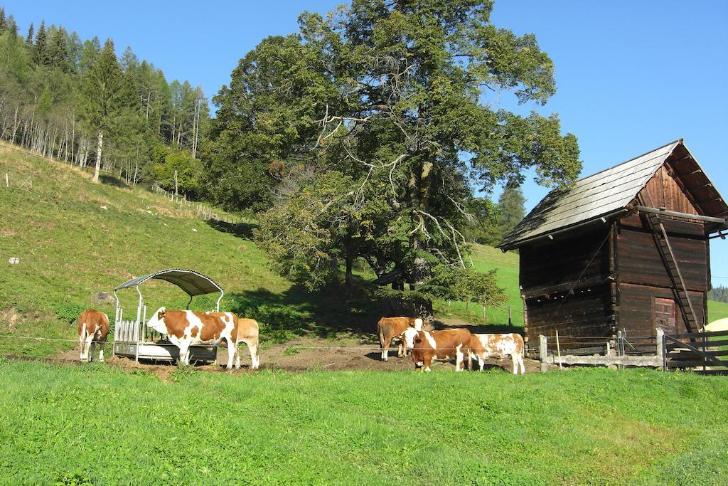 Wohlfühlpension Kreischberg/Egger-Feiel Sankt Georgen ob Murau Exterior foto