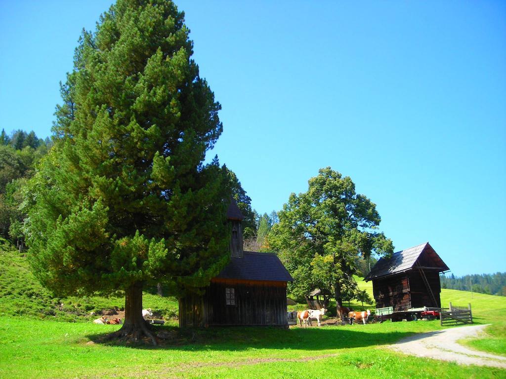 Wohlfühlpension Kreischberg/Egger-Feiel Sankt Georgen ob Murau Exterior foto