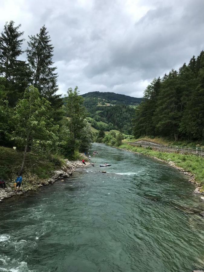 Wohlfühlpension Kreischberg/Egger-Feiel Sankt Georgen ob Murau Exterior foto