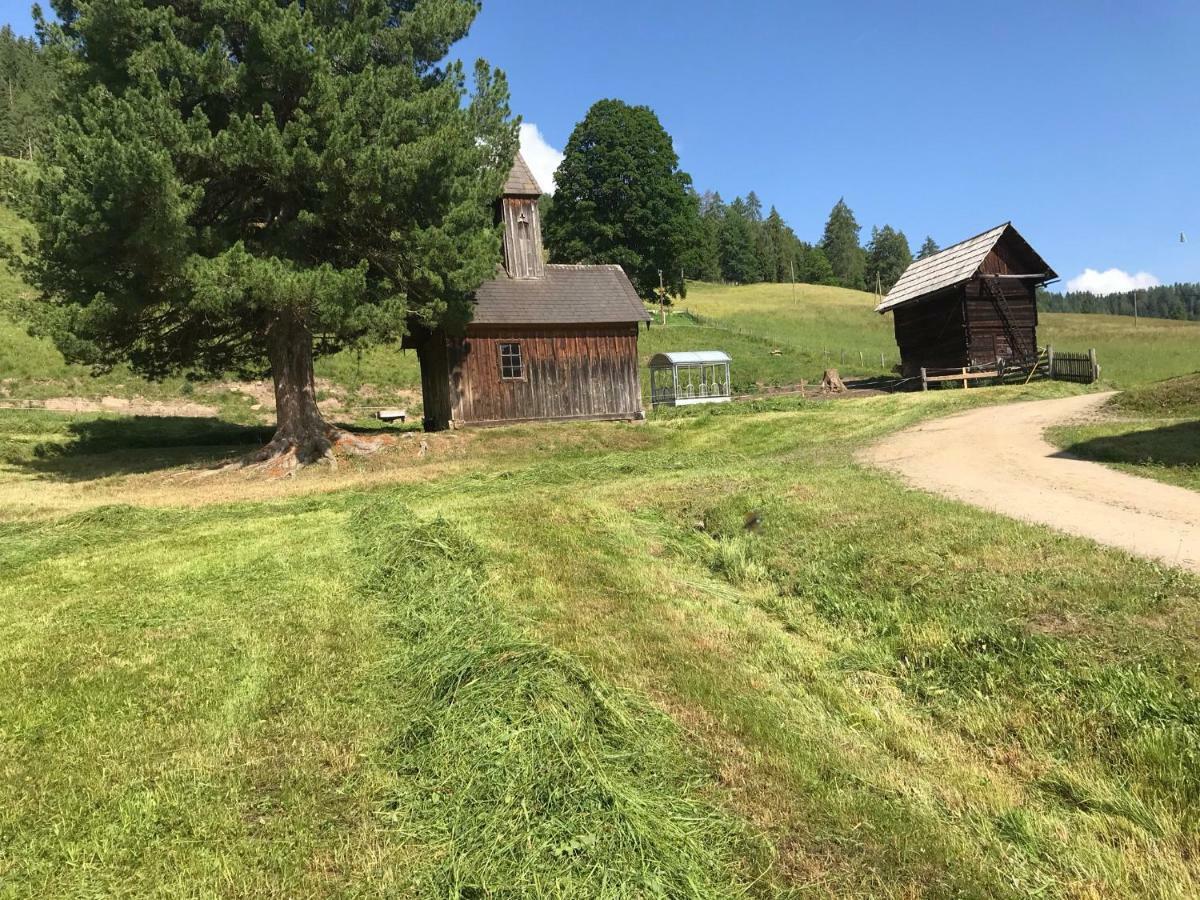 Wohlfühlpension Kreischberg/Egger-Feiel Sankt Georgen ob Murau Exterior foto